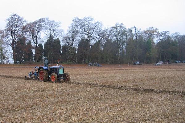 Ploughing 11.jpg